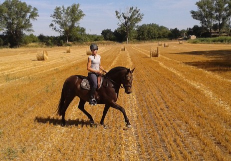 Cruzando los prados a caballo